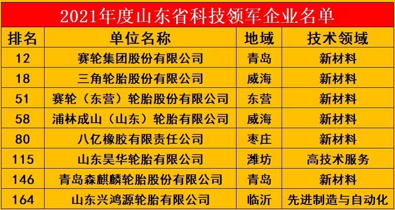 2021年度山東省科技領(lǐng)軍企業(yè)名單