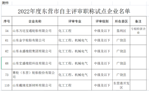 職稱(chēng)自主評(píng)審，5家輪胎企業(yè)試點(diǎn)！